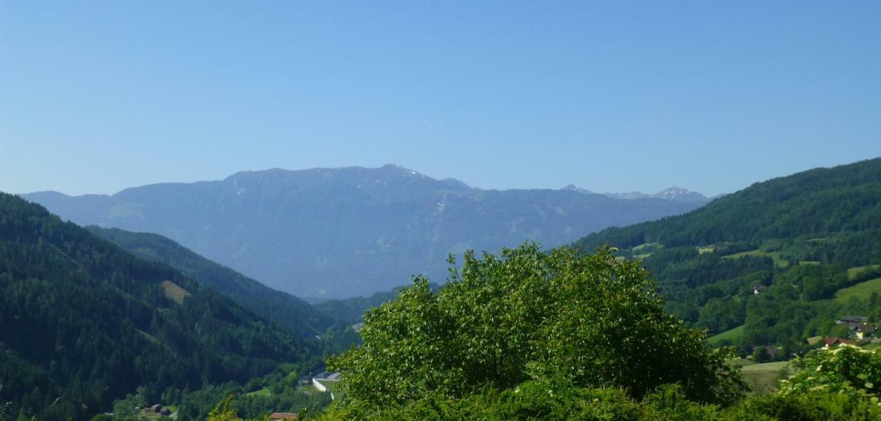 Ferienwohnungen Simonbauer Trebesing エクステリア 写真